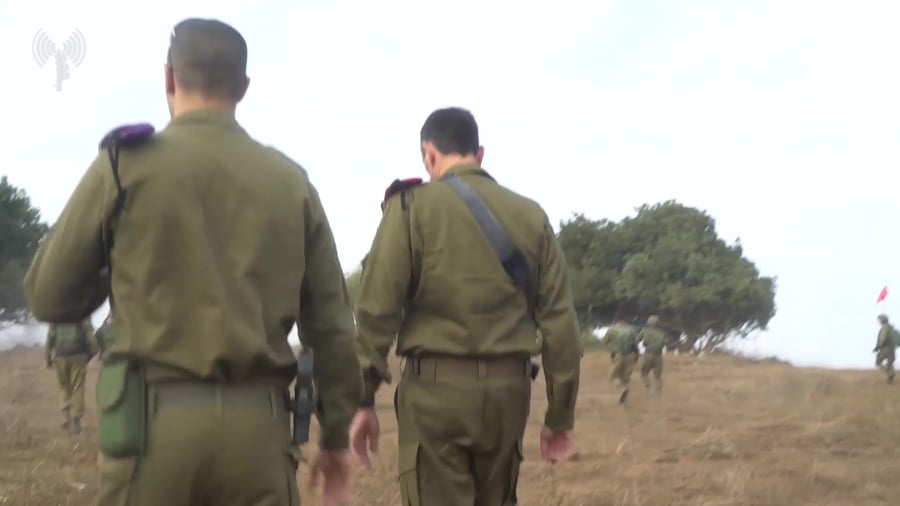 הרצי הלוי