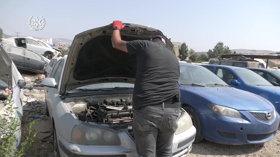 פעילות משטובות-