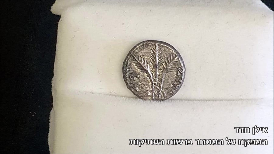 סרטון המטבע. צילום מירי בר רשות העתיקות
