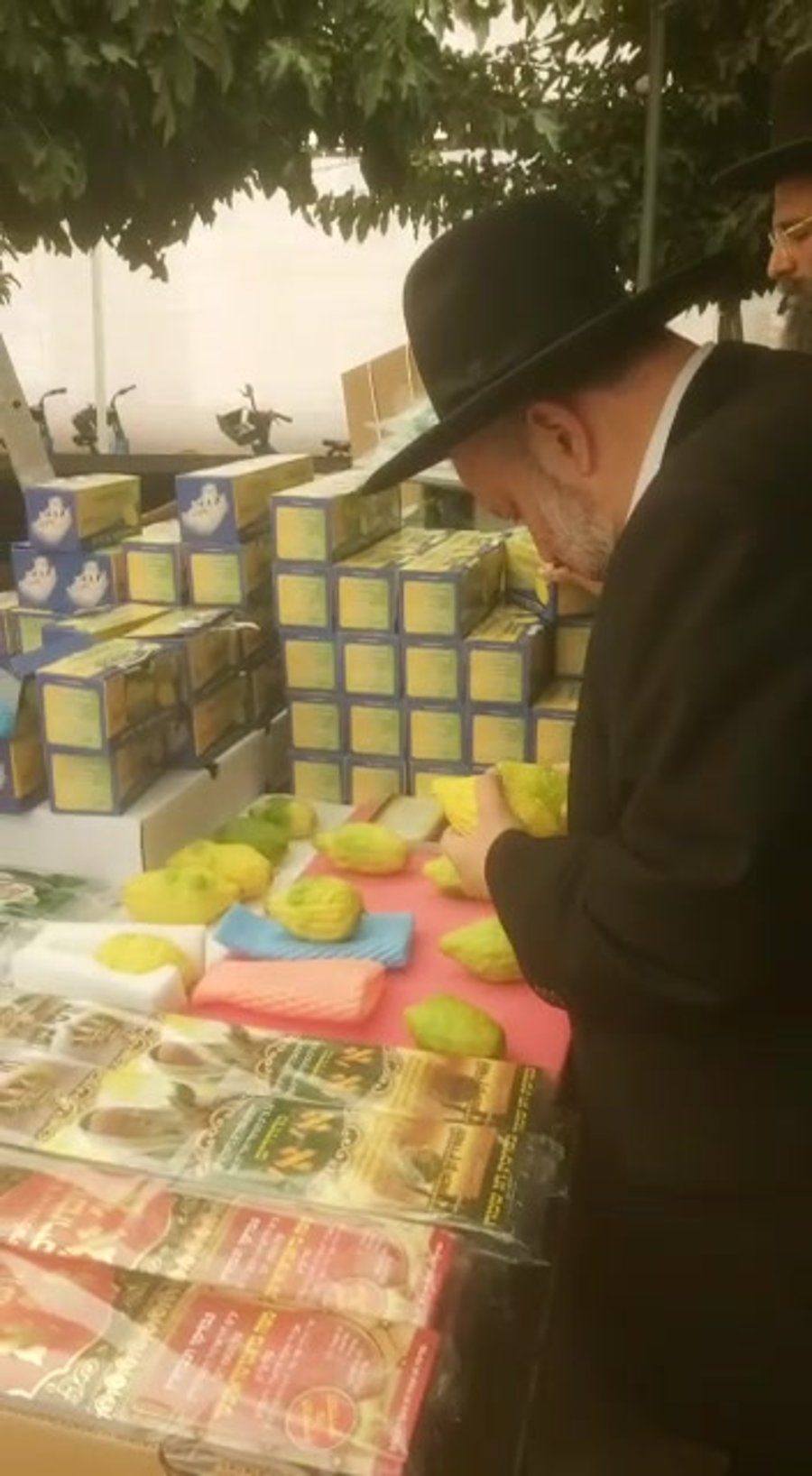 שוק ארבעת המינים בירושלים (צילום: ראובן לייטוש)