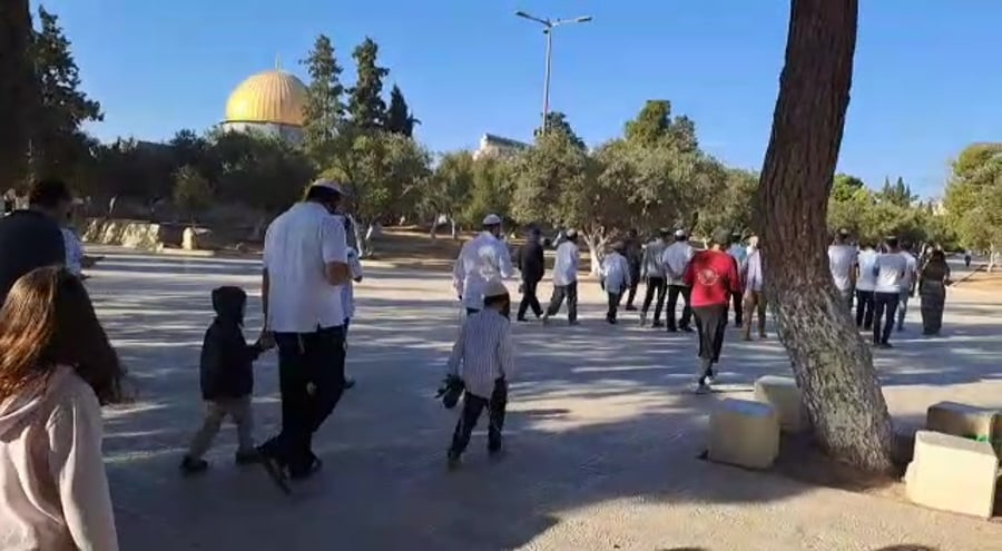 (צילום: מינהלת הר הבית)