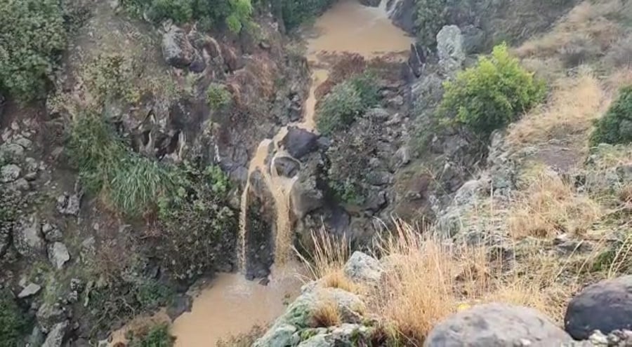WhatsApp Video 2022-11-26 at 08.08.23