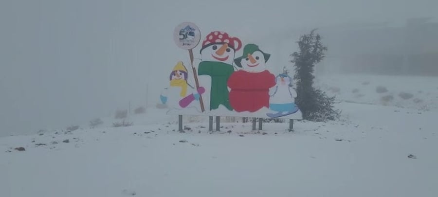 WhatsApp Video 2022-12-26 at 09.07.05