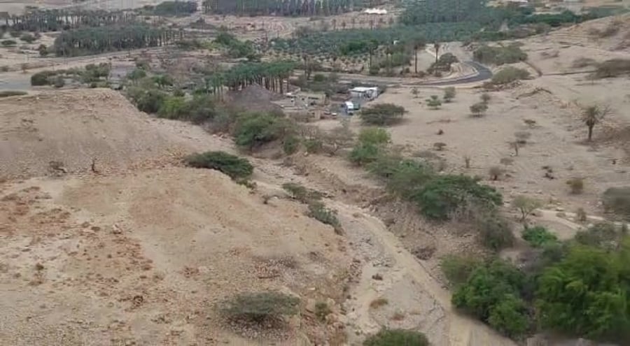 צילום – רות קניגסוולד, החברה להגנת הטבע נחל דוד