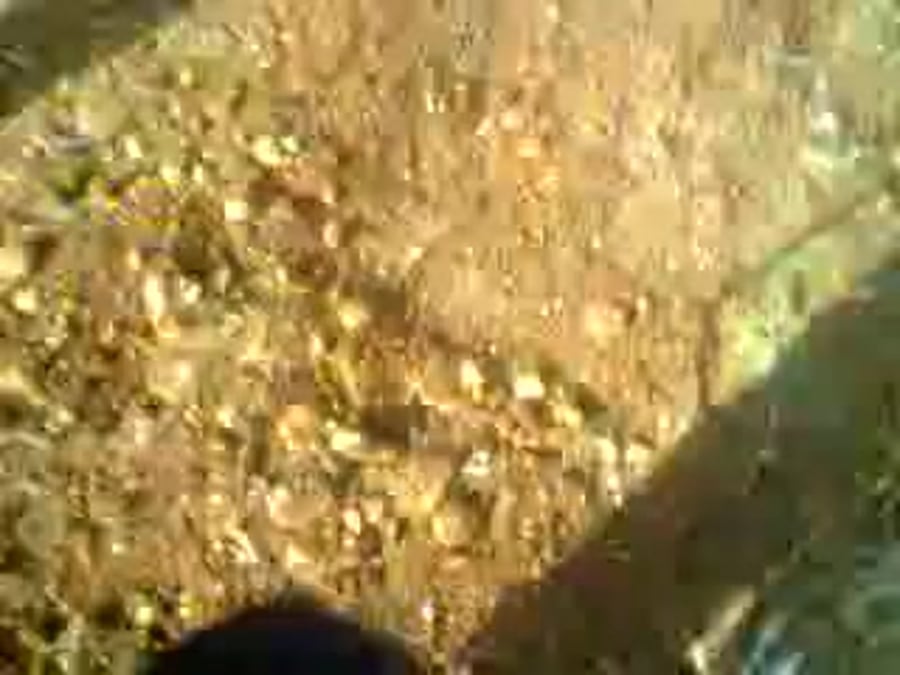 VID-20230111-WA0002