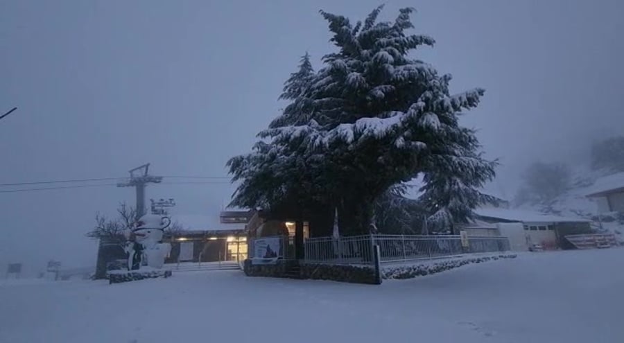 WhatsApp Video 2023-01-31 at 06.29.58