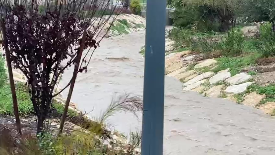 WhatsApp Video 2023-02-07 at 14.52.31