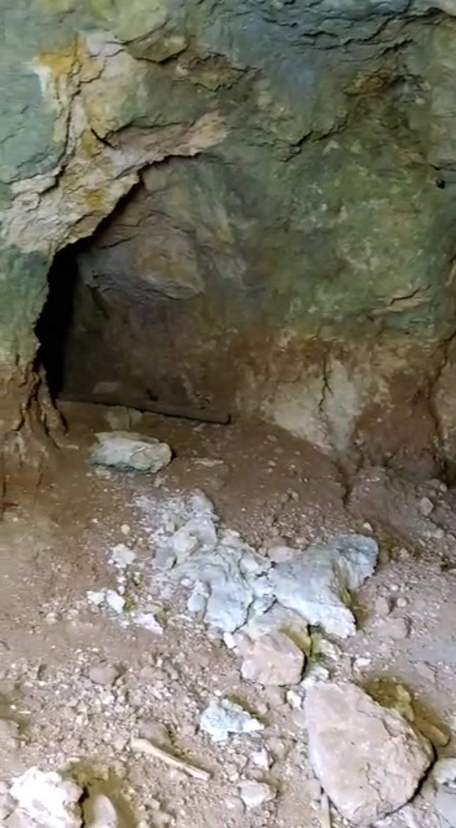 WhatsApp Video 2023-02-14 at 11.55.49