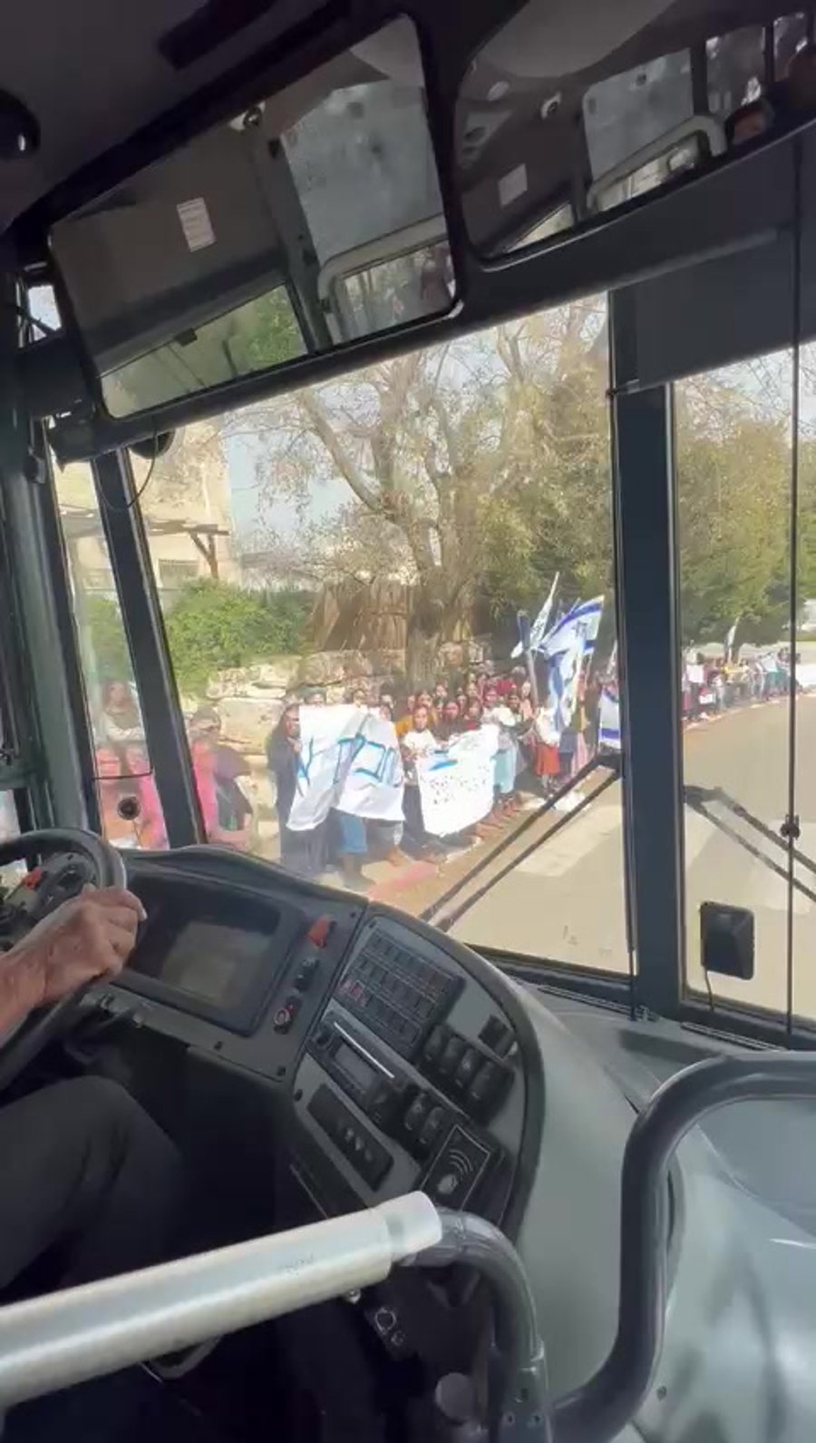 סרטון דגלי ישראל