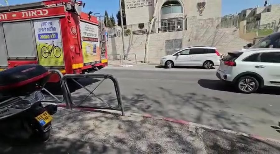 דוברות מדא (1)