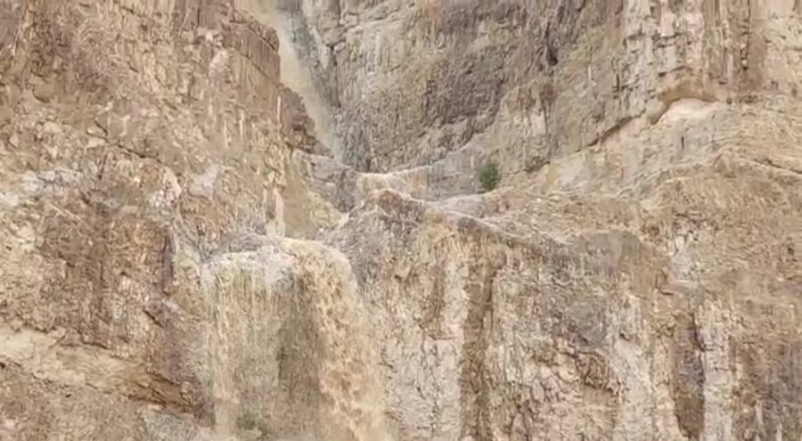 קומראן ליאלי מלמן, החברה להגנת הטבע