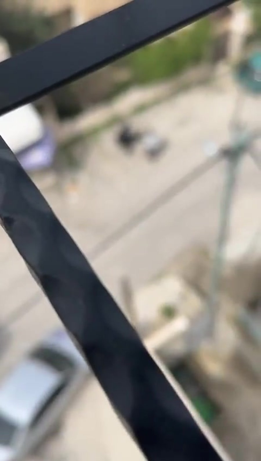 מעצר מבוקש שכם