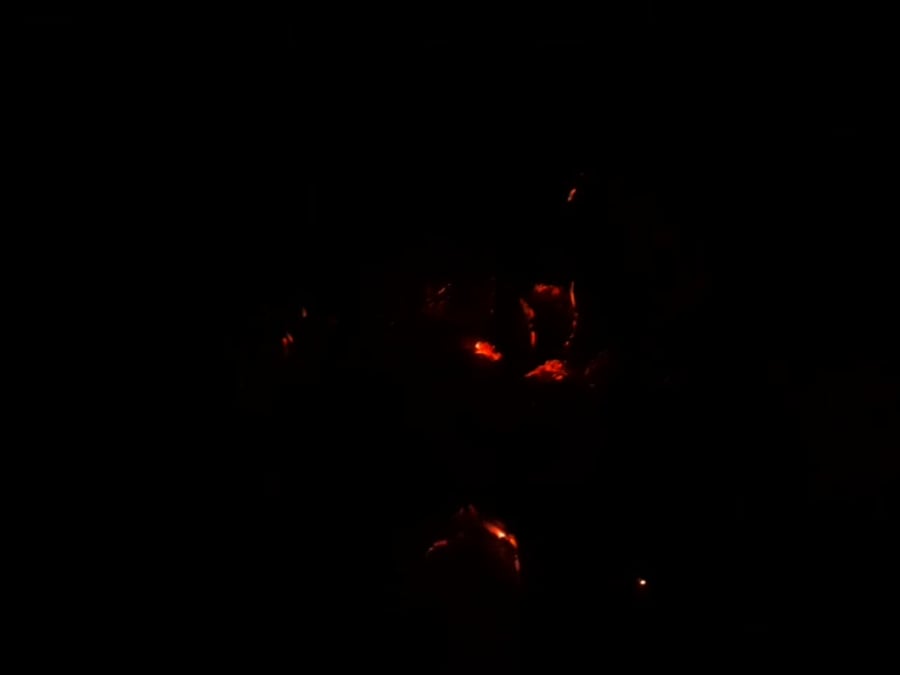 WhatsApp Video 2023-04-03 at 21.02.12