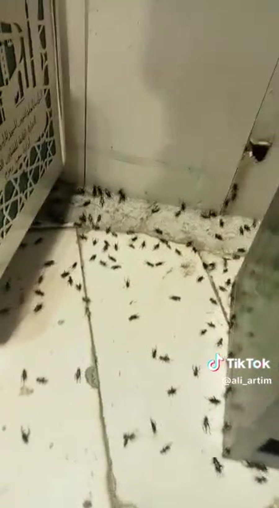 WhatsApp Video 2023-04-13 at 10.06.36
