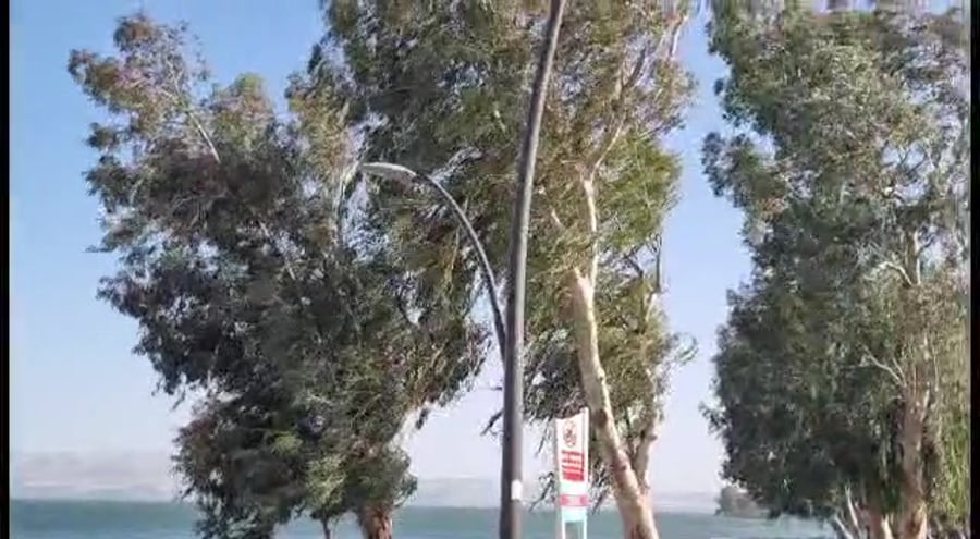 WhatsApp Video 2023-05-05 at 08.59.07