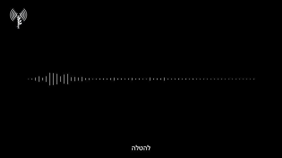 חיסול בכירים עזה
