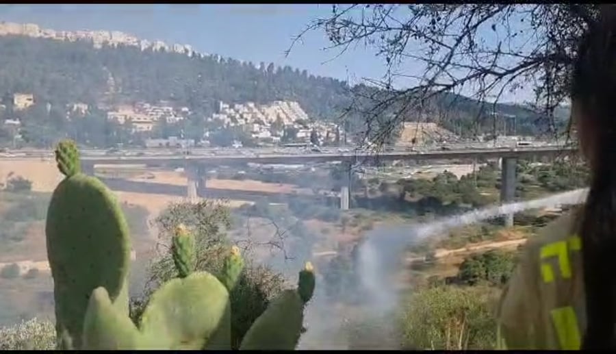 WhatsApp Video 2023-06-18 at 16.41.13