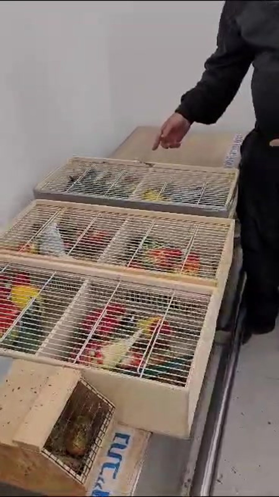 WhatsApp Video 2023-06-22 at 09.43.48