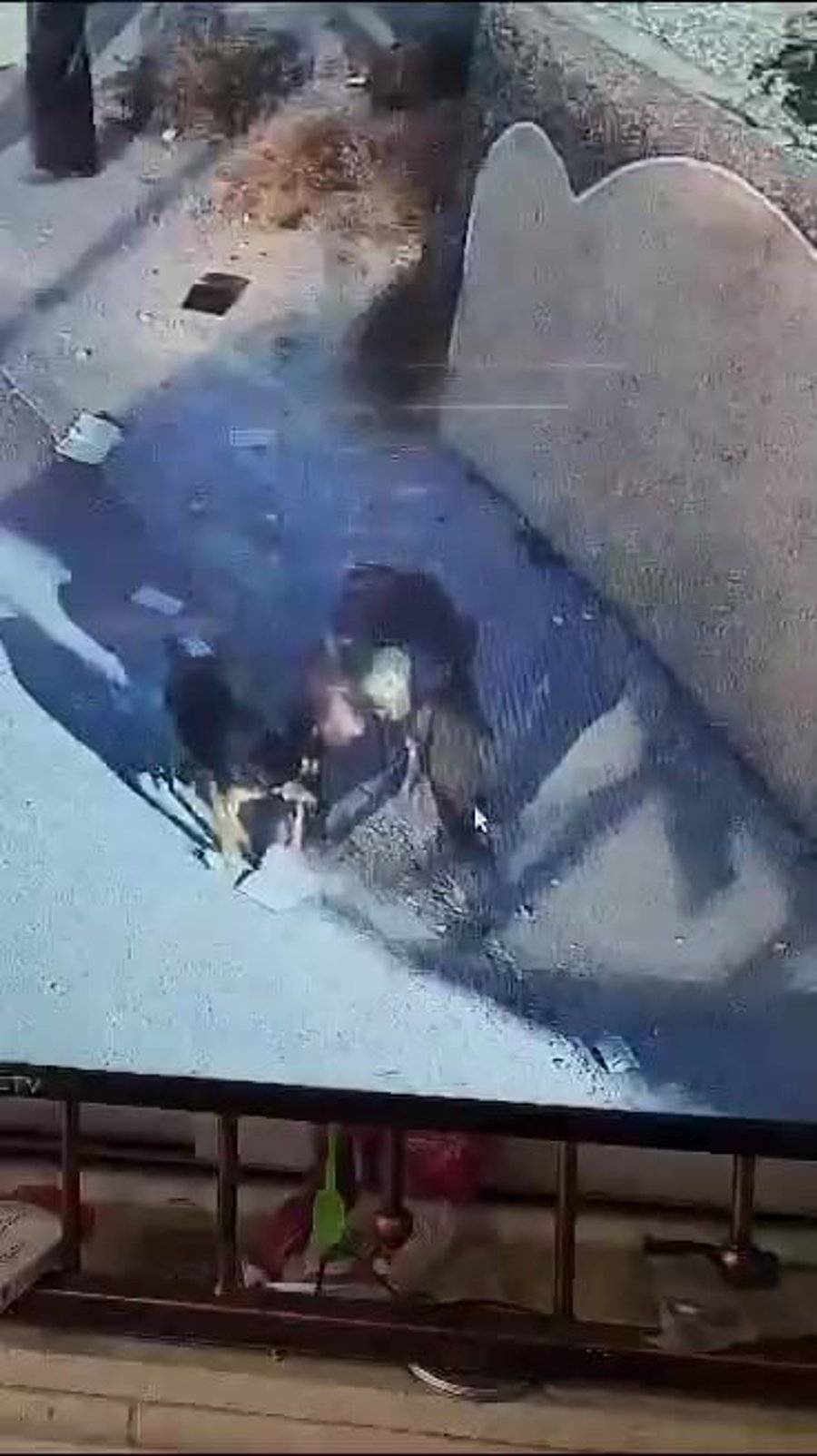 נערי גבעות שורפים קוראן