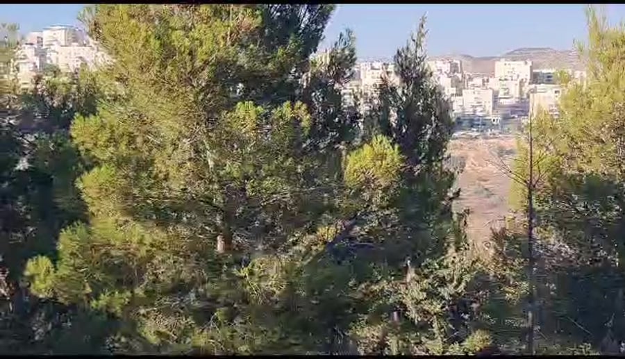 שריפה כפר אורנים