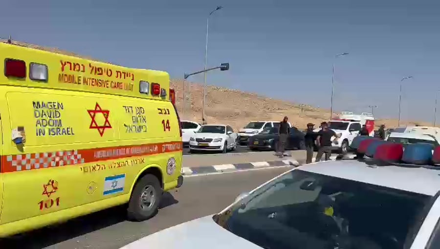 זירת האירוע (צילום: תיעוד מבצעי מד"א)