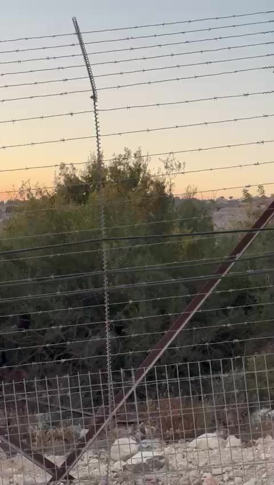 חיזבאללה בגבול