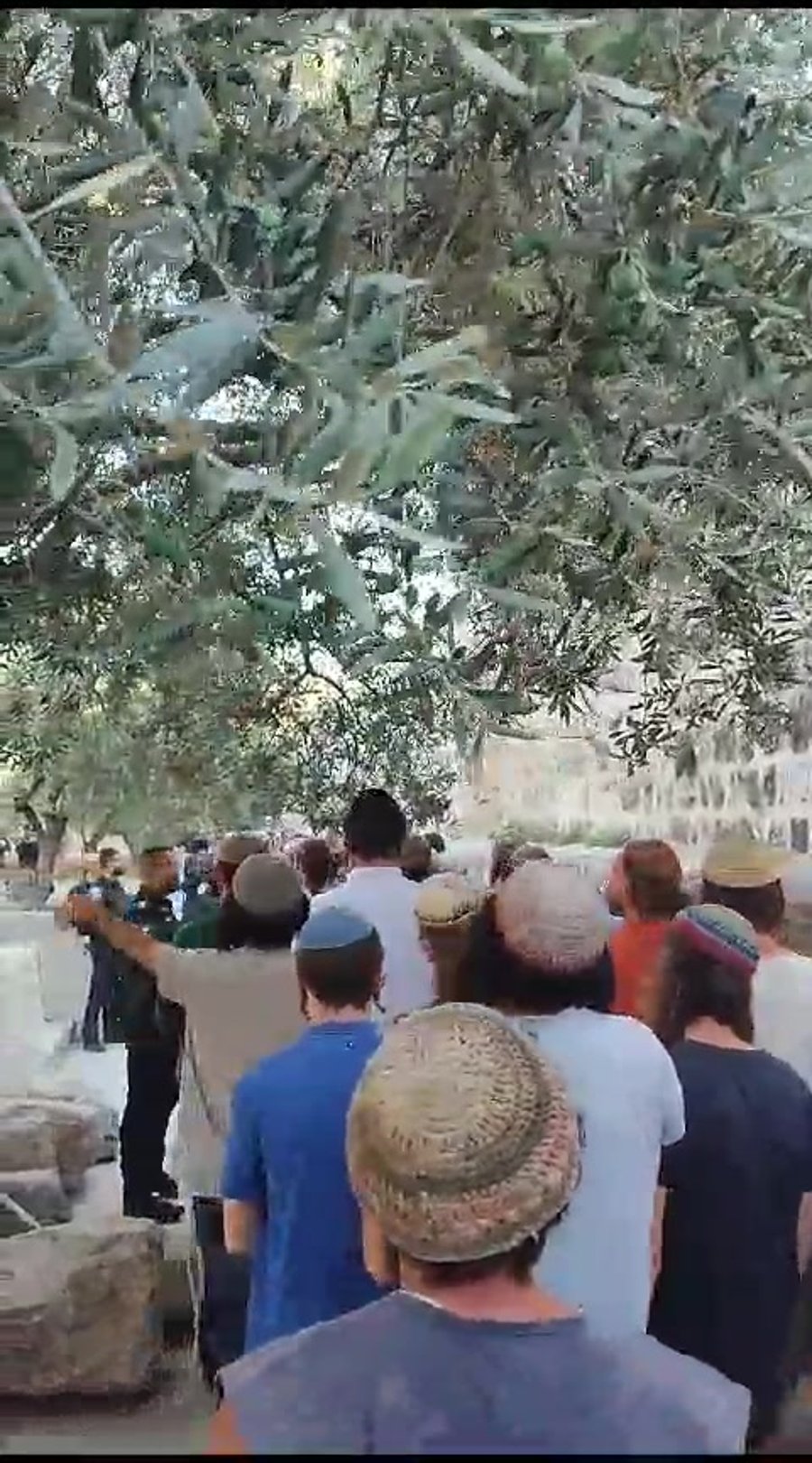 WhatsApp Video 2023-07-27 at 08.23.42