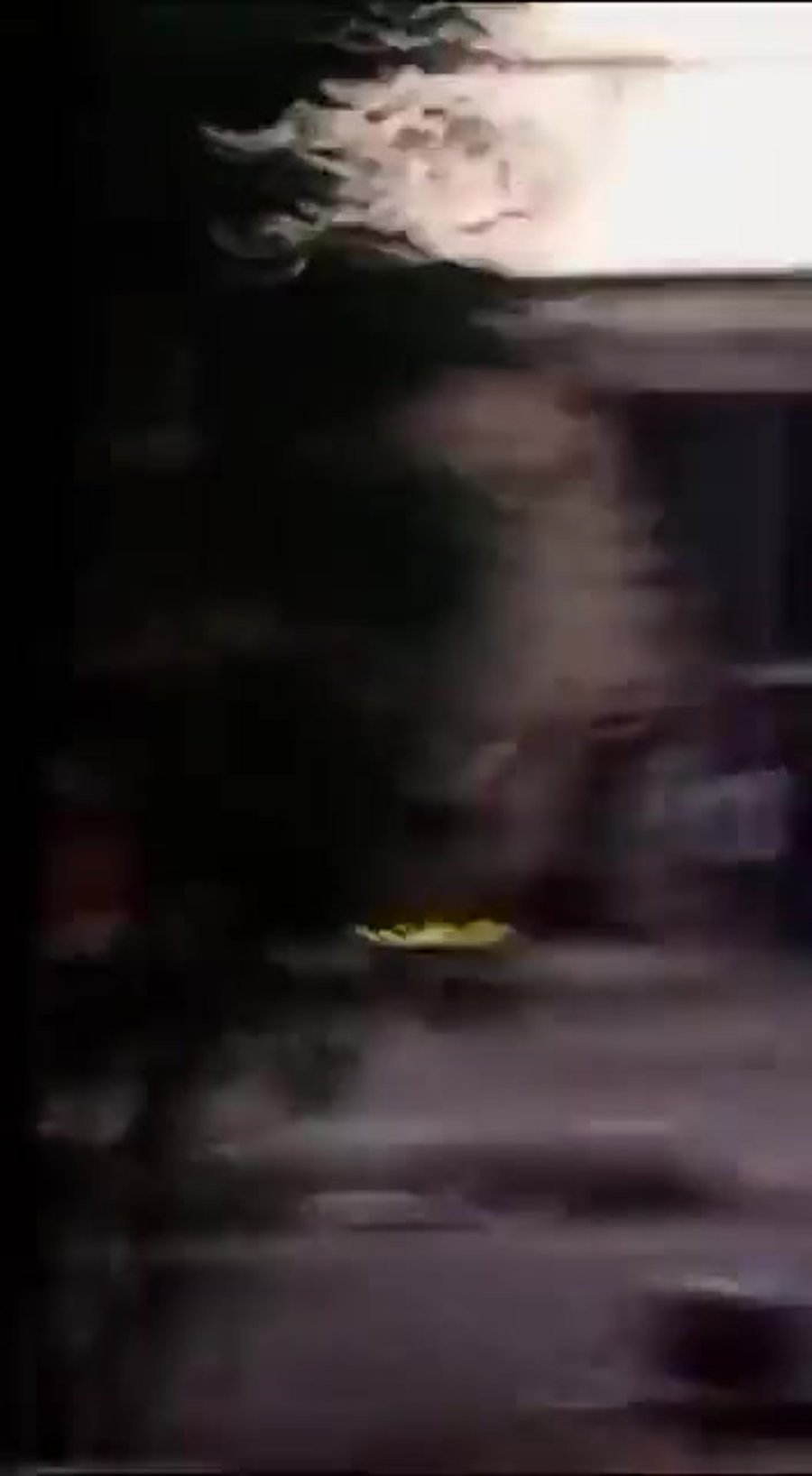 קרבות רחוב לבנון