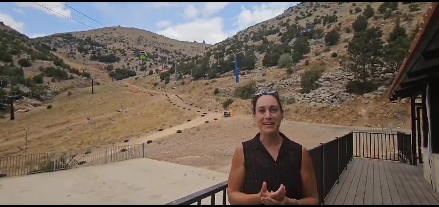 WhatsApp Video 2023-08-13 at 17.13.02