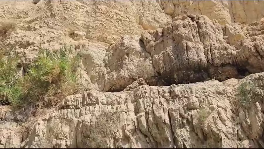 WhatsApp Video 2023-08-24 at 11.46.36