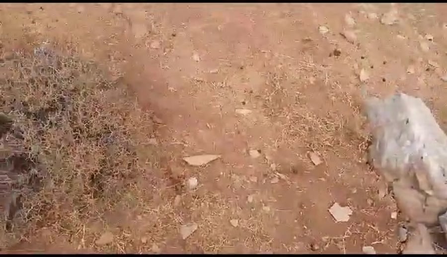WhatsApp Video 2023-08-29 at 15.09.20