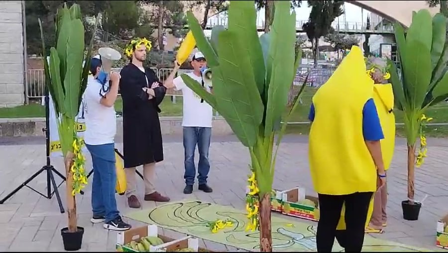 פעילי אם תרצו