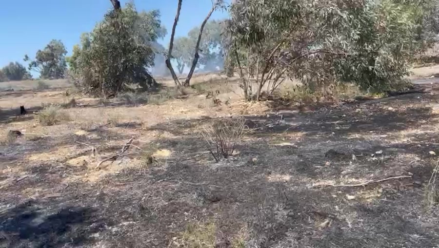 WhatsApp Video 2023-09-24 at 14.00.49