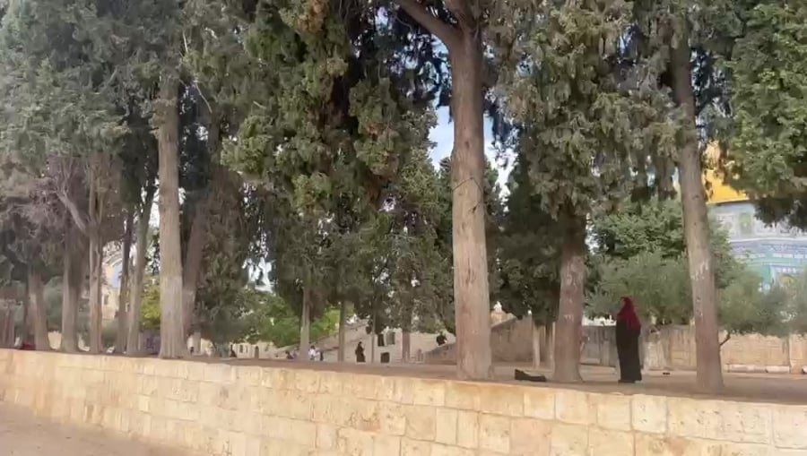 הר הבית