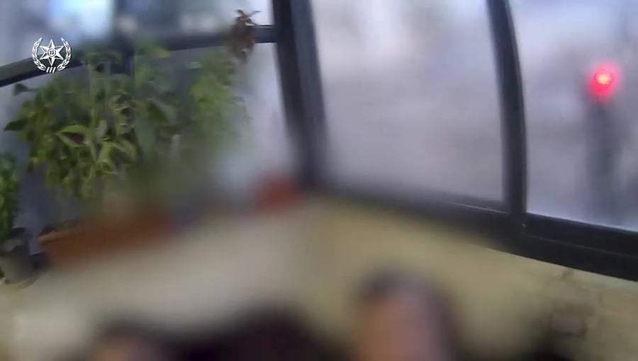 WhatsApp Video 2023-10-02 at 16.14.54