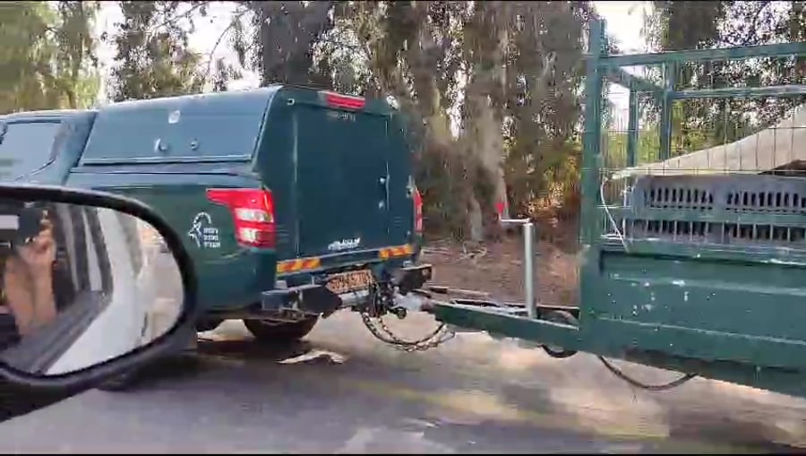 WhatsApp Video 2023-10-31 at 07.15.01