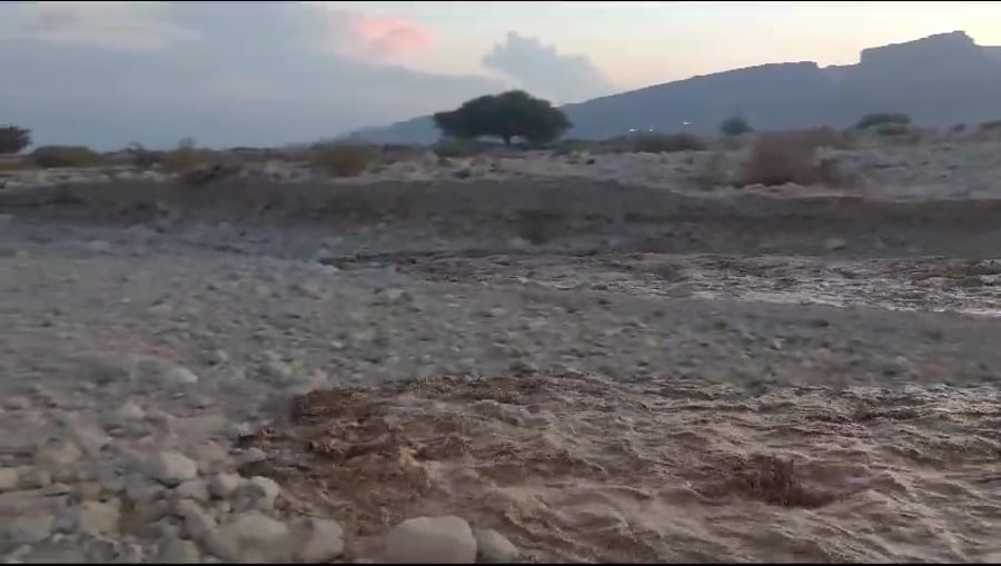 WhatsApp Video 2023-11-01 at 17.43.34