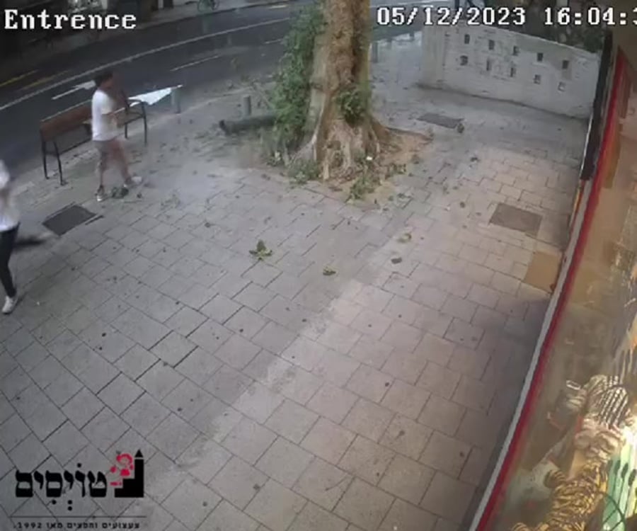WhatsApp Video 2023-12-05 at 19.19.40