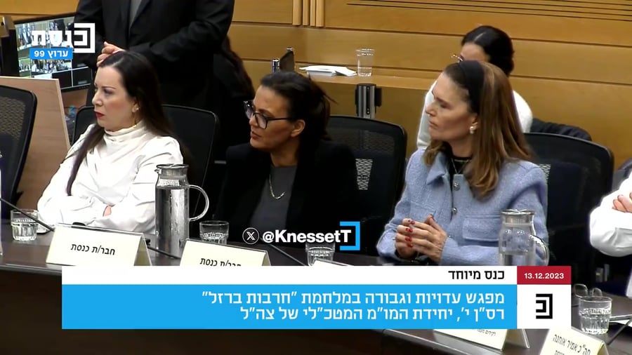 טייסת בכנסת