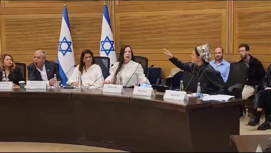 סון הר מלך ועדה ביקורת המדינה