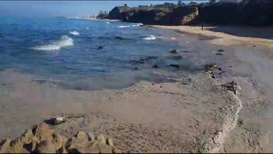 פרד ארזואן, מנהל היחידה הימית של המשרד להגנת הסביבה (בפועל)