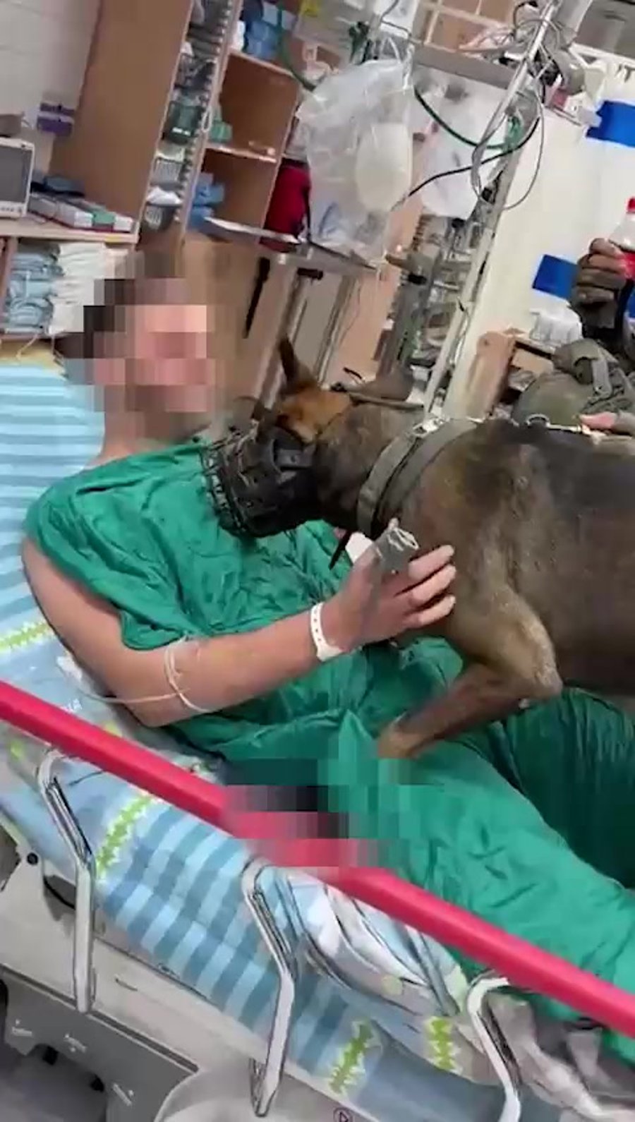 WhatsApp Video 2024-01-22 at 11.19.40