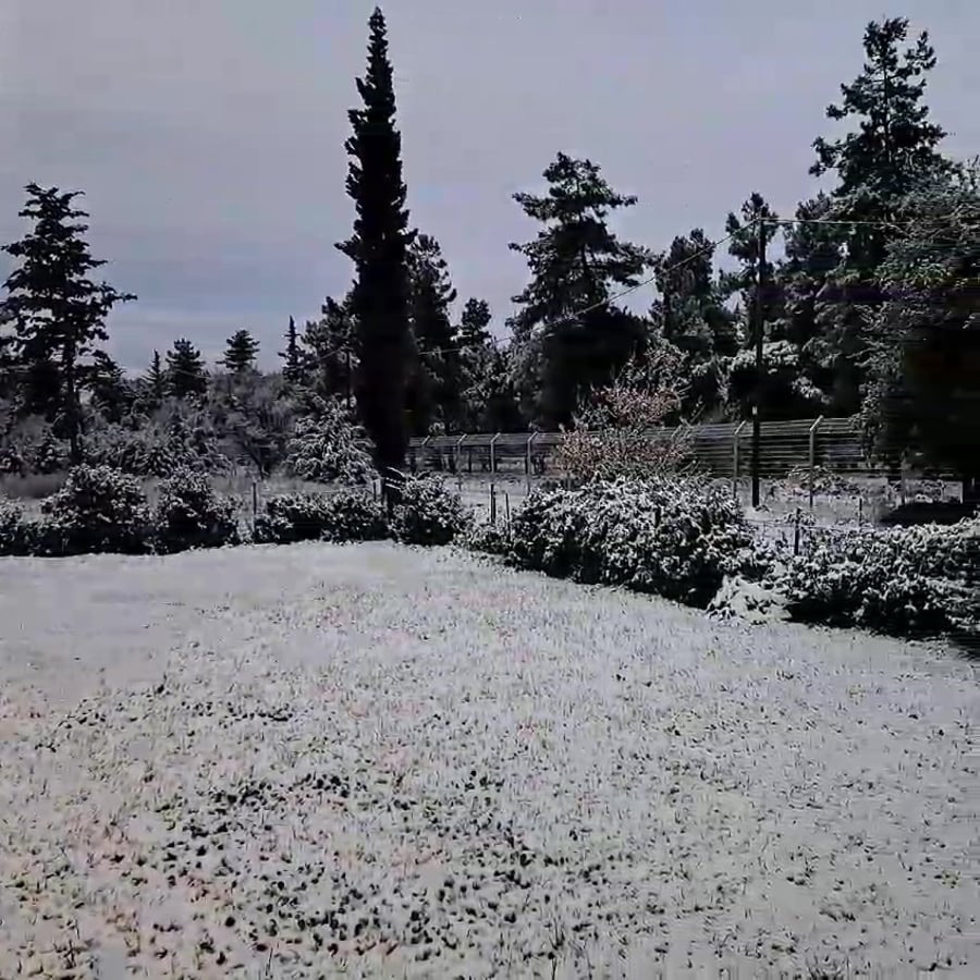 WhatsApp Video 2024-01-31 at 07.28.31