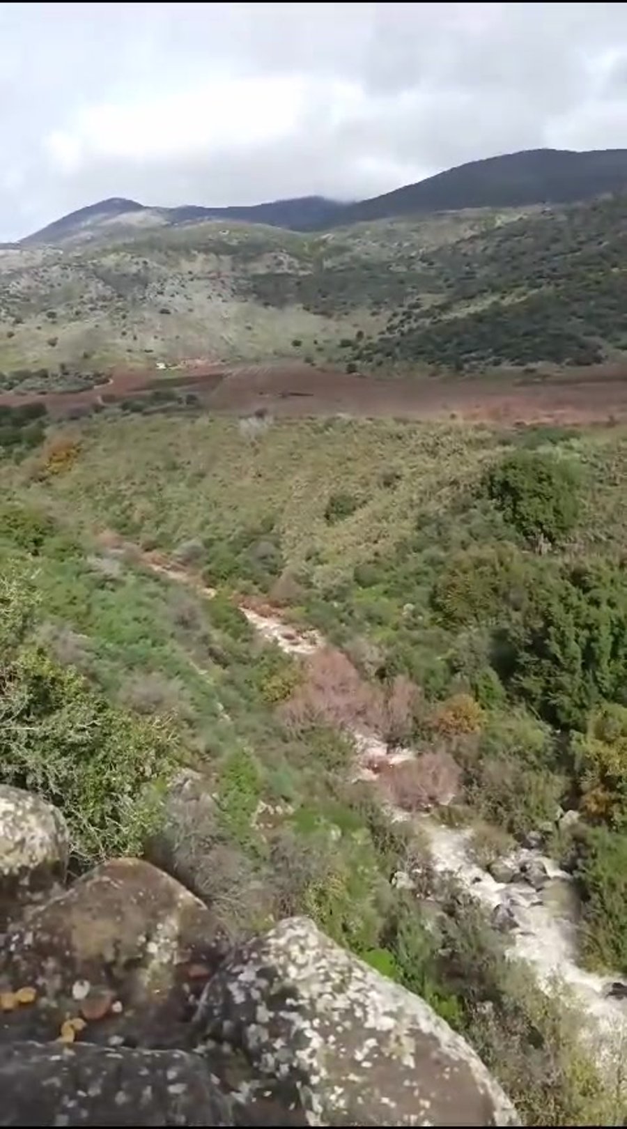 נחל סער