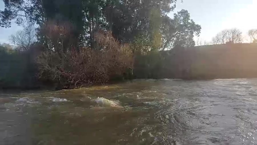 WhatsApp Video 2024-02-18 at 18.03.46