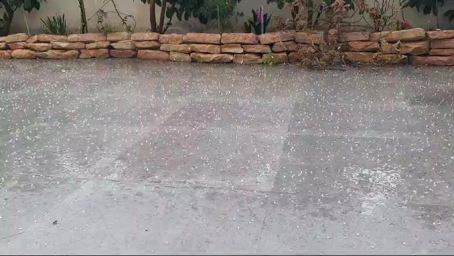 WhatsApp Video 2024-02-27 at 12.54.36