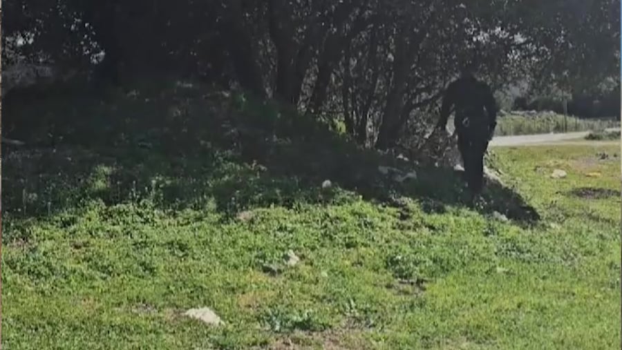 חיפושים קסאו