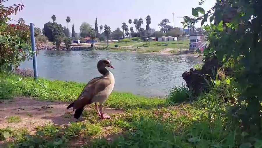 WhatsApp Video 2024-03-12 at 11.00.22
