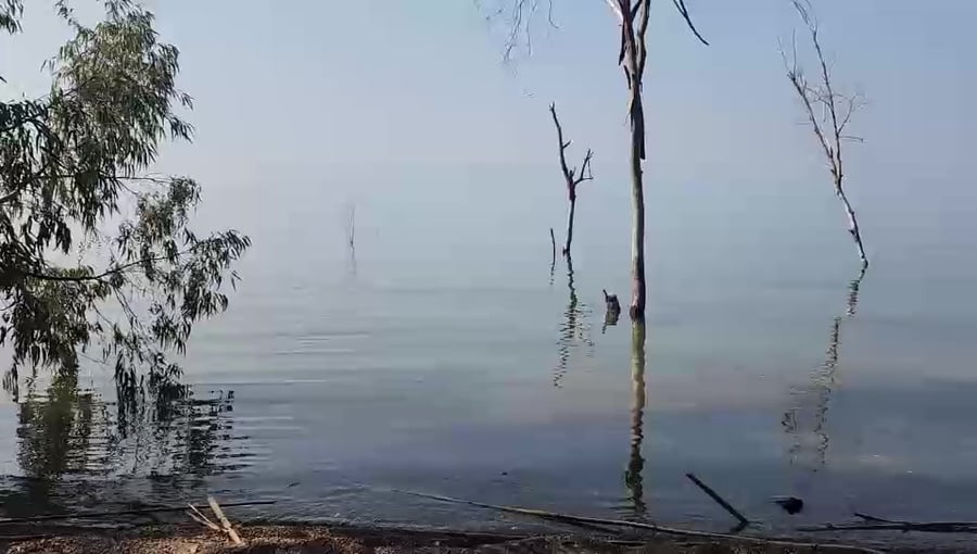 WhatsApp Video 2024-03-13 at 10.31.47