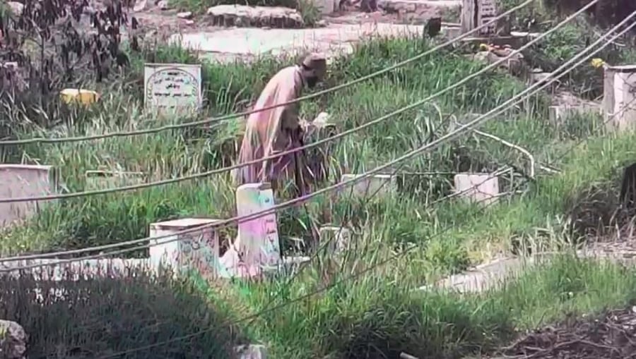 המחבל בחברון